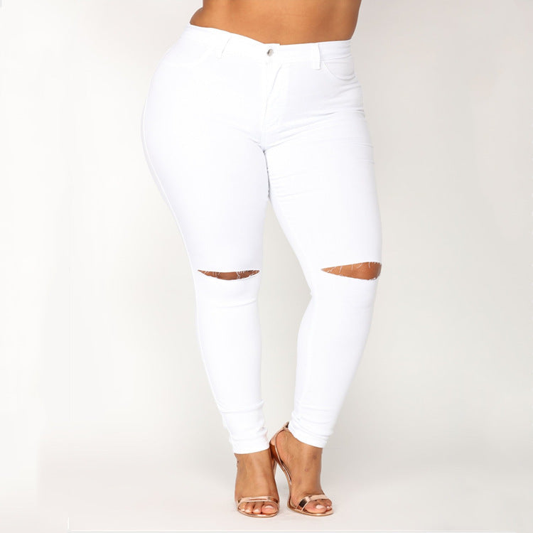 👖 Pantalon grande taille femme – Uni, moderne & confortable | XL-Charmes